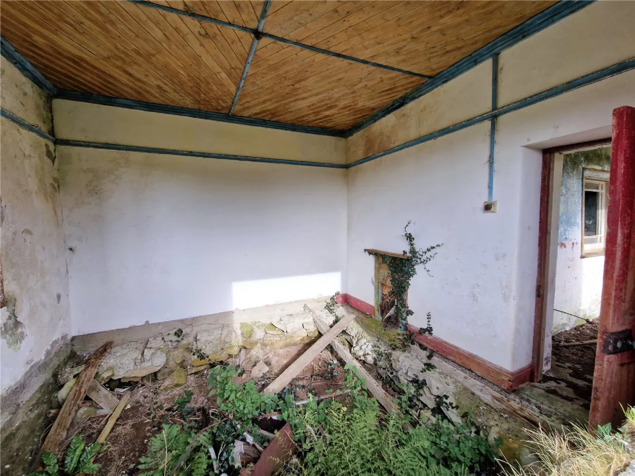 Photo of Woods, Midfield, Co Mayo