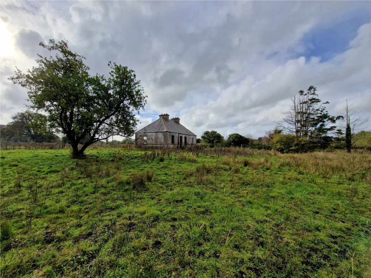 Photo of Woods, Midfield, Co Mayo