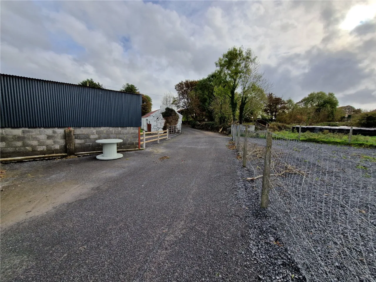 Photo of Woods, Midfield, Co Mayo