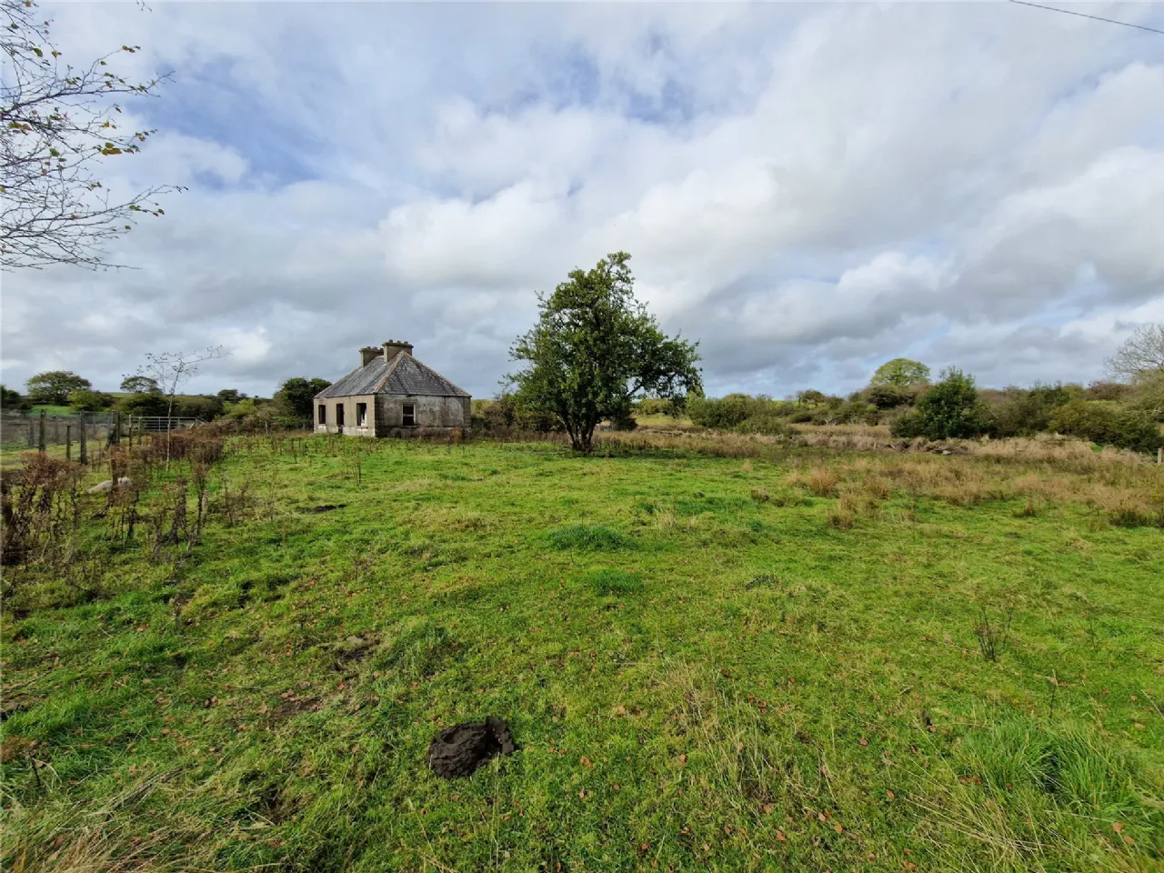 Photo of Woods, Midfield, Co Mayo
