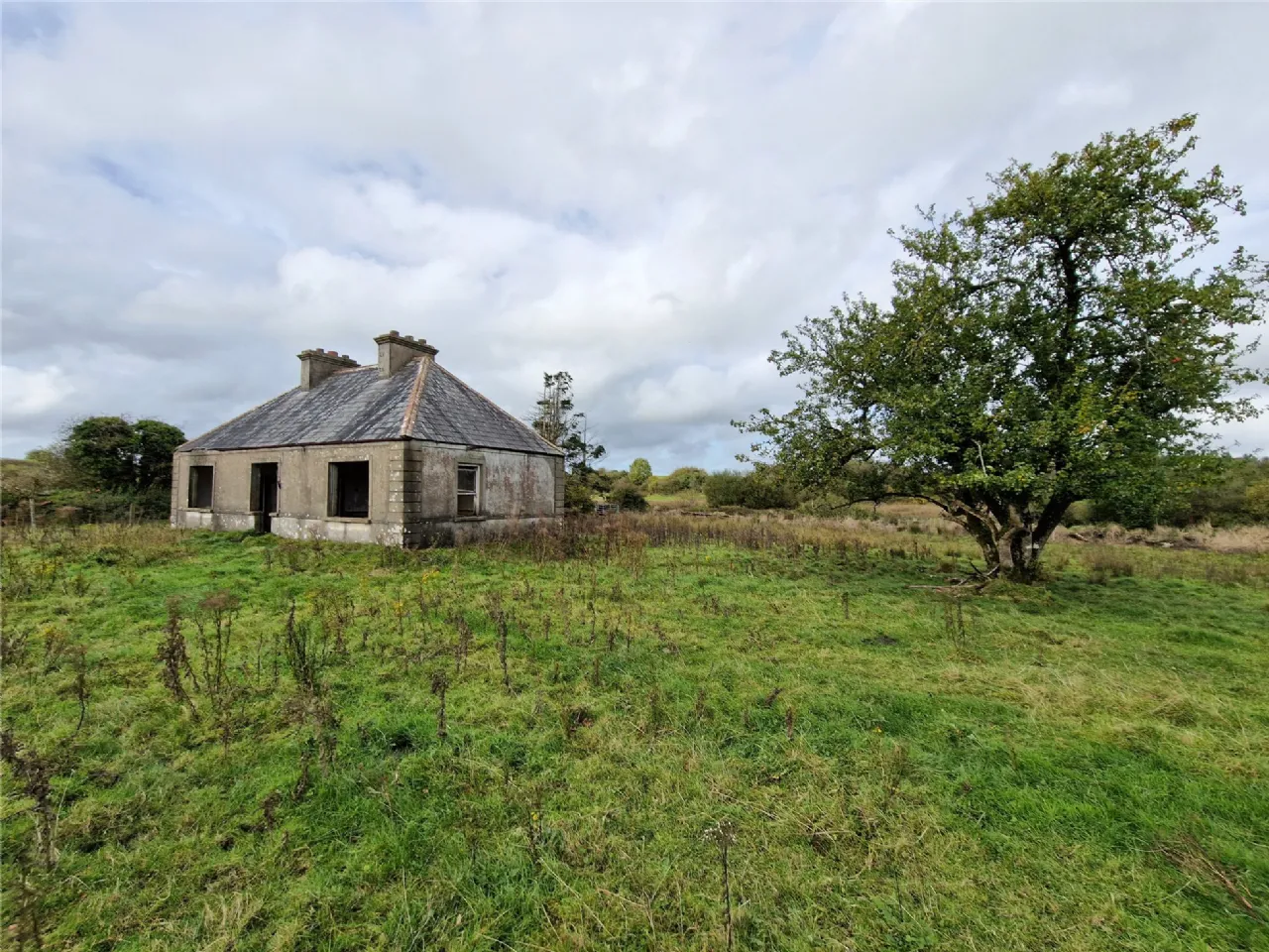 Photo of Woods, Midfield, Co Mayo