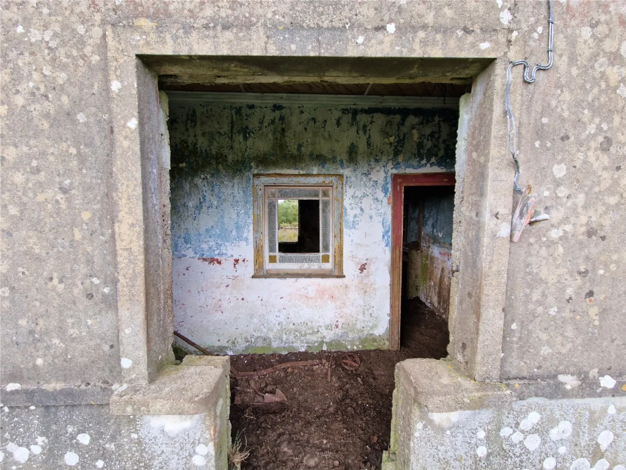 Photo of Woods, Midfield, Co Mayo