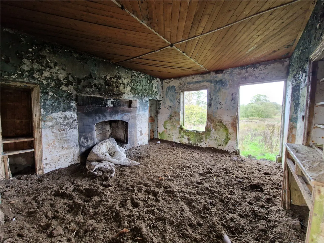 Photo of Woods, Midfield, Co Mayo