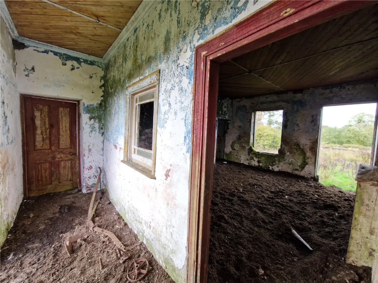 Photo of Woods, Midfield, Co Mayo