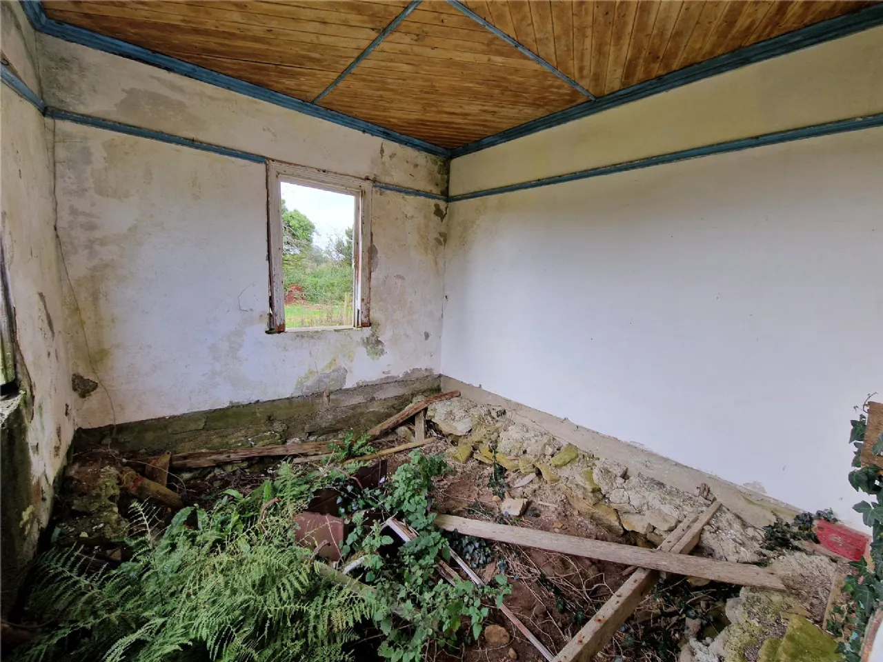 Photo of Woods, Midfield, Co Mayo