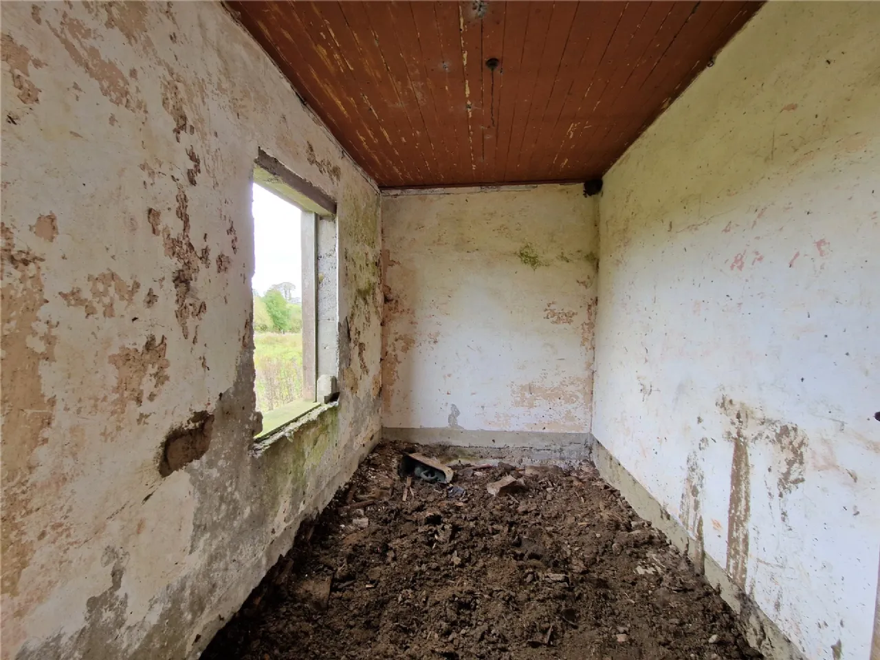 Photo of Woods, Midfield, Co Mayo