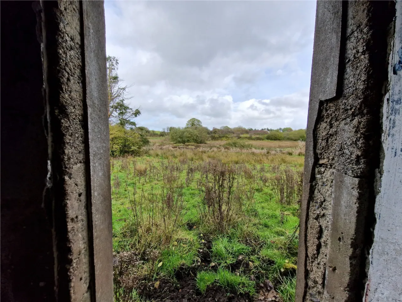 Photo of Woods, Midfield, Co Mayo