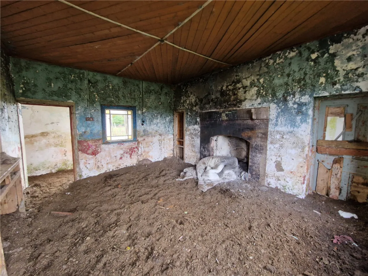 Photo of Woods, Midfield, Co Mayo