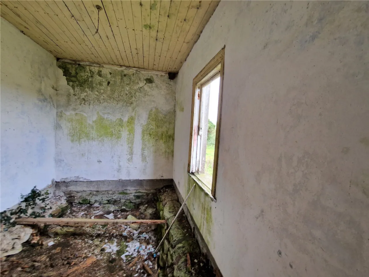 Photo of Woods, Midfield, Co Mayo