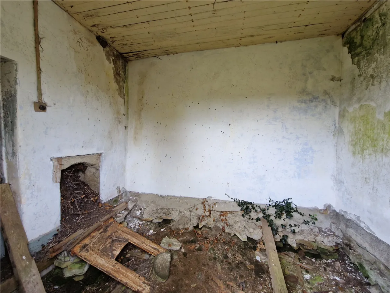 Photo of Woods, Midfield, Co Mayo