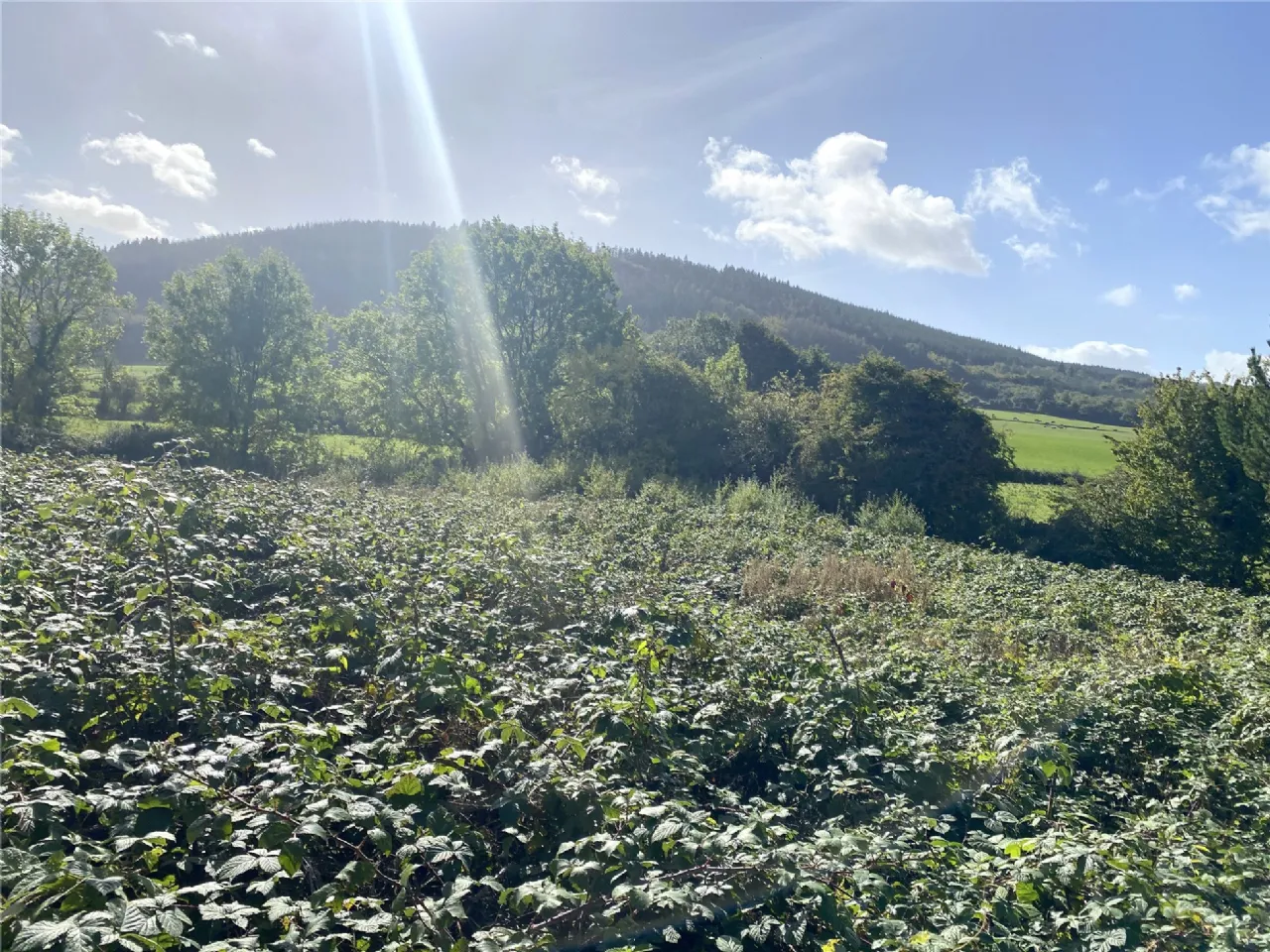 Photo of Coolcarron, Fermoy, Co Cork