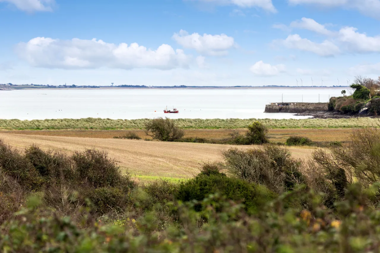 Photo of Tay Lane, Fethard, New Ross, Co. Wexford, Y34 E682