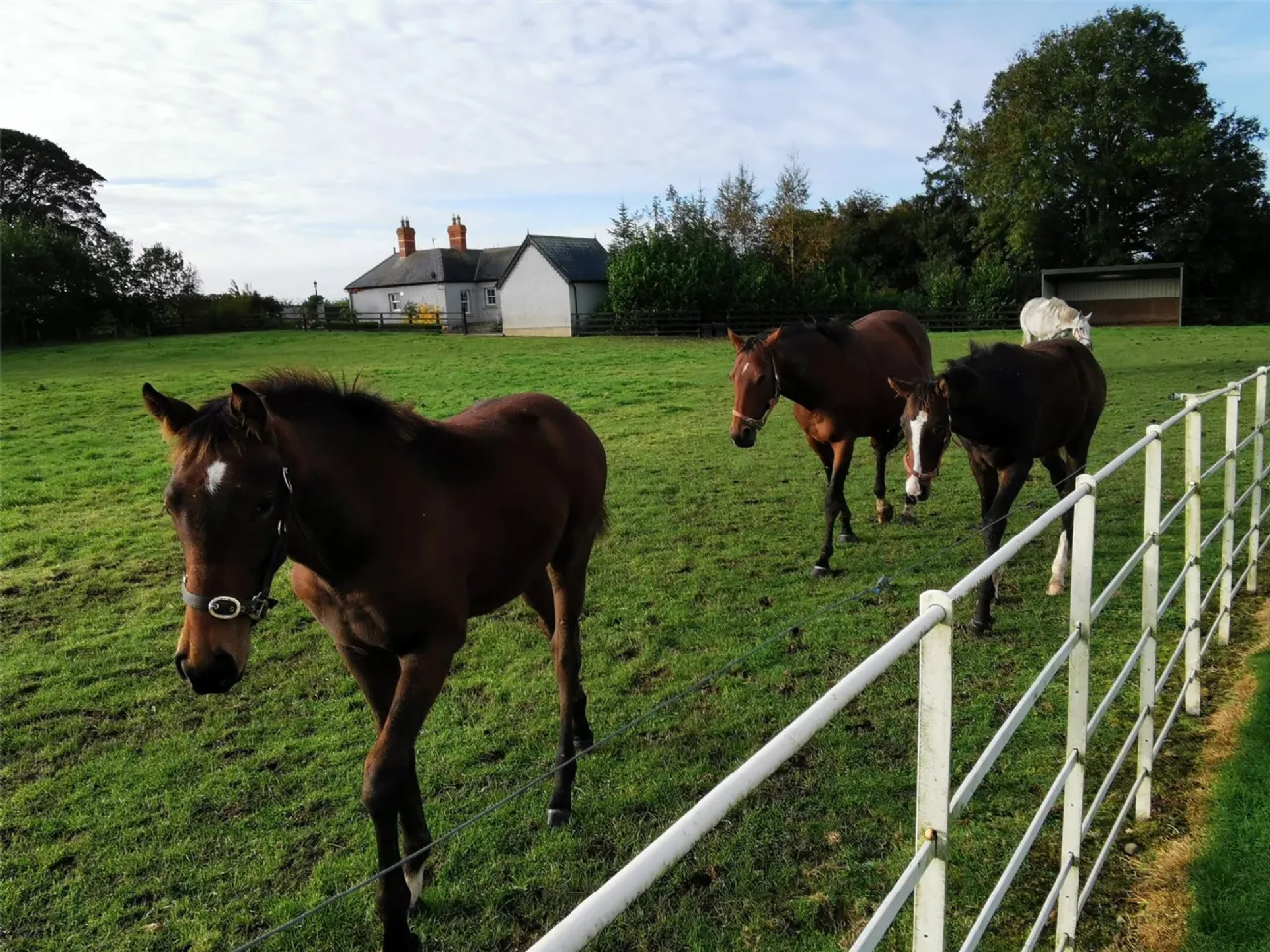 Photo of The Garden Cottage, Maevesrath Stud, Garlow Cross, Navan, Co. Meath, C15P6E5
