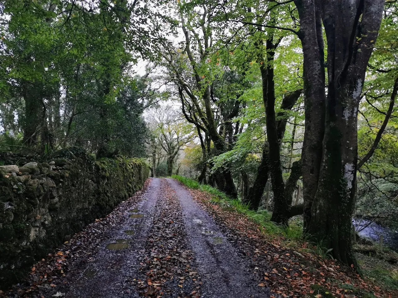 Photo of Old School House, Moyard, Co.Galway, H91 AF8N