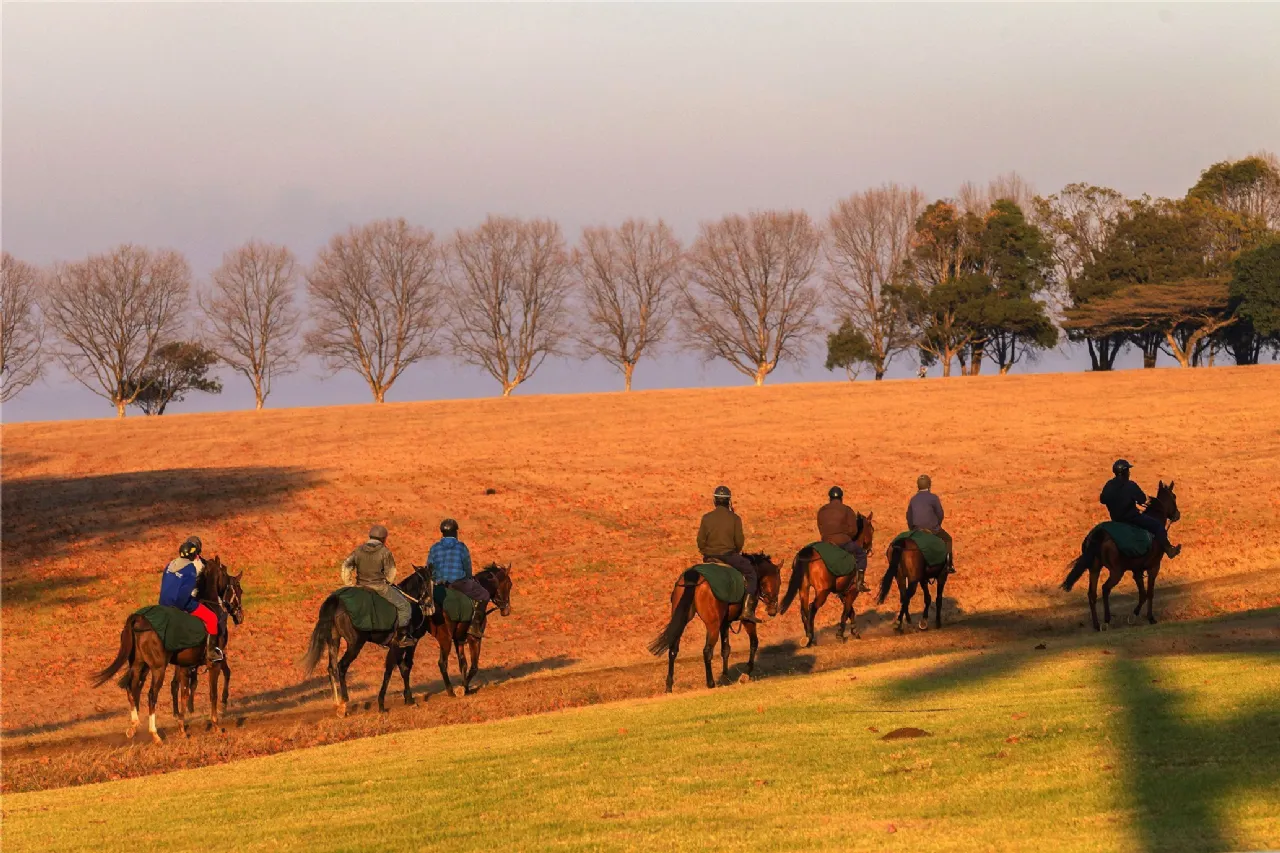 Photo of B Type - 3 Bed End / Terraced, Oak Church, Kildare, Co. Kildare