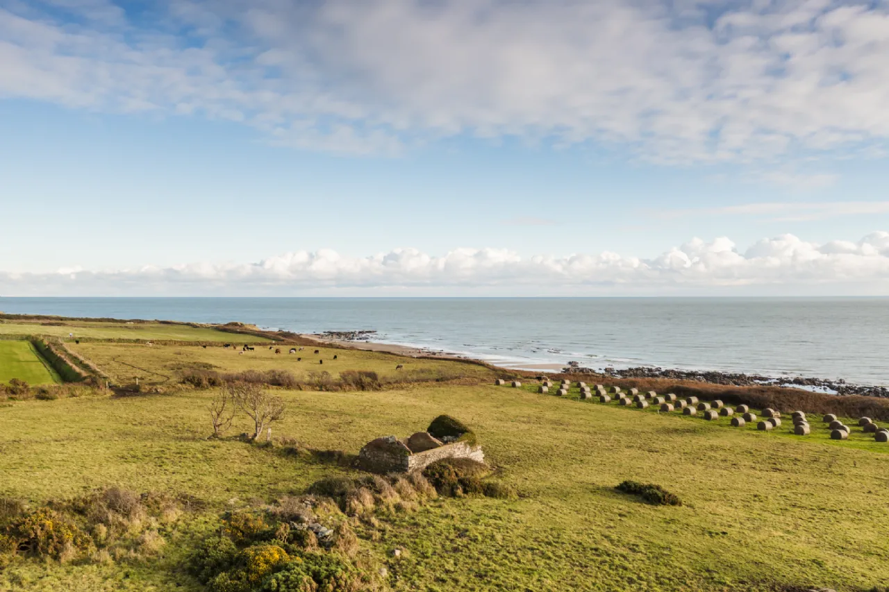 Photo of Oldmill 11.67 Acres, Kilrane, Rosslare Harbour, Co. Wexford