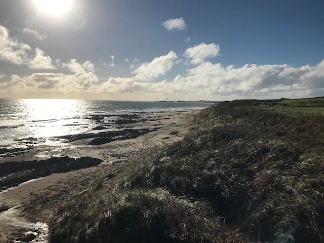 Photo of Oldmill 11.67 Acres, Kilrane, Rosslare Harbour, Co. Wexford