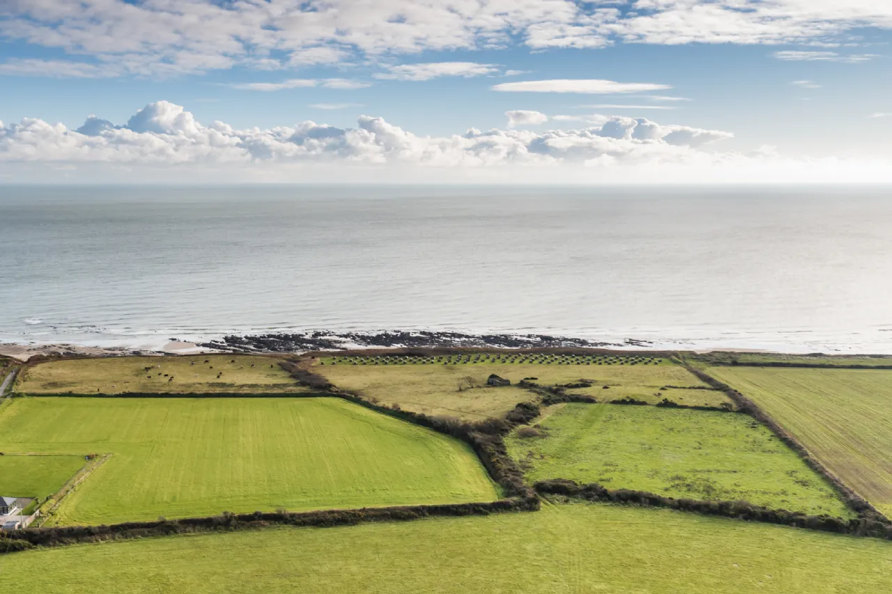 Photo of Oldmill 11.67 Acres, Kilrane, Rosslare Harbour, Co. Wexford