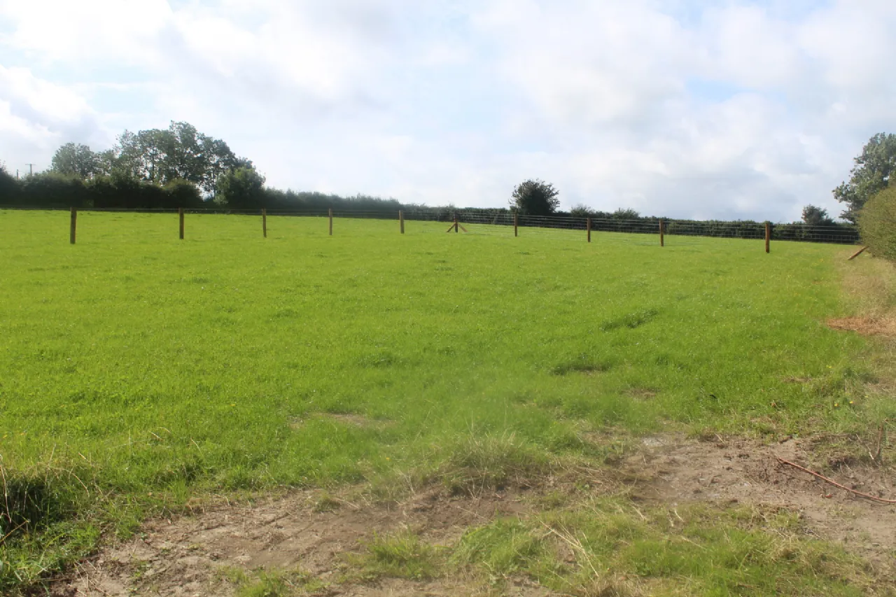 Photo of Knockdrumagh, Myshall,, Co. Carlow, R21HD71