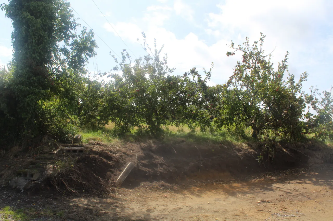 Photo of Knockdrumagh, Myshall,, Co. Carlow, R21HD71