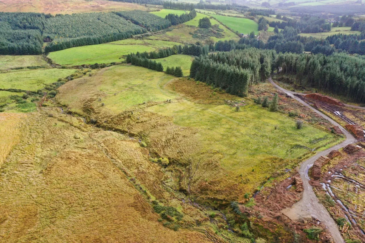Photo of 13.44 Acres, Cummer, Kilcommon, Thurles, Co. Tipperary