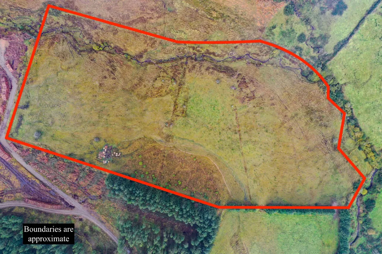 Photo of 13.44 Acres, Cummer, Kilcommon, Thurles, Co. Tipperary