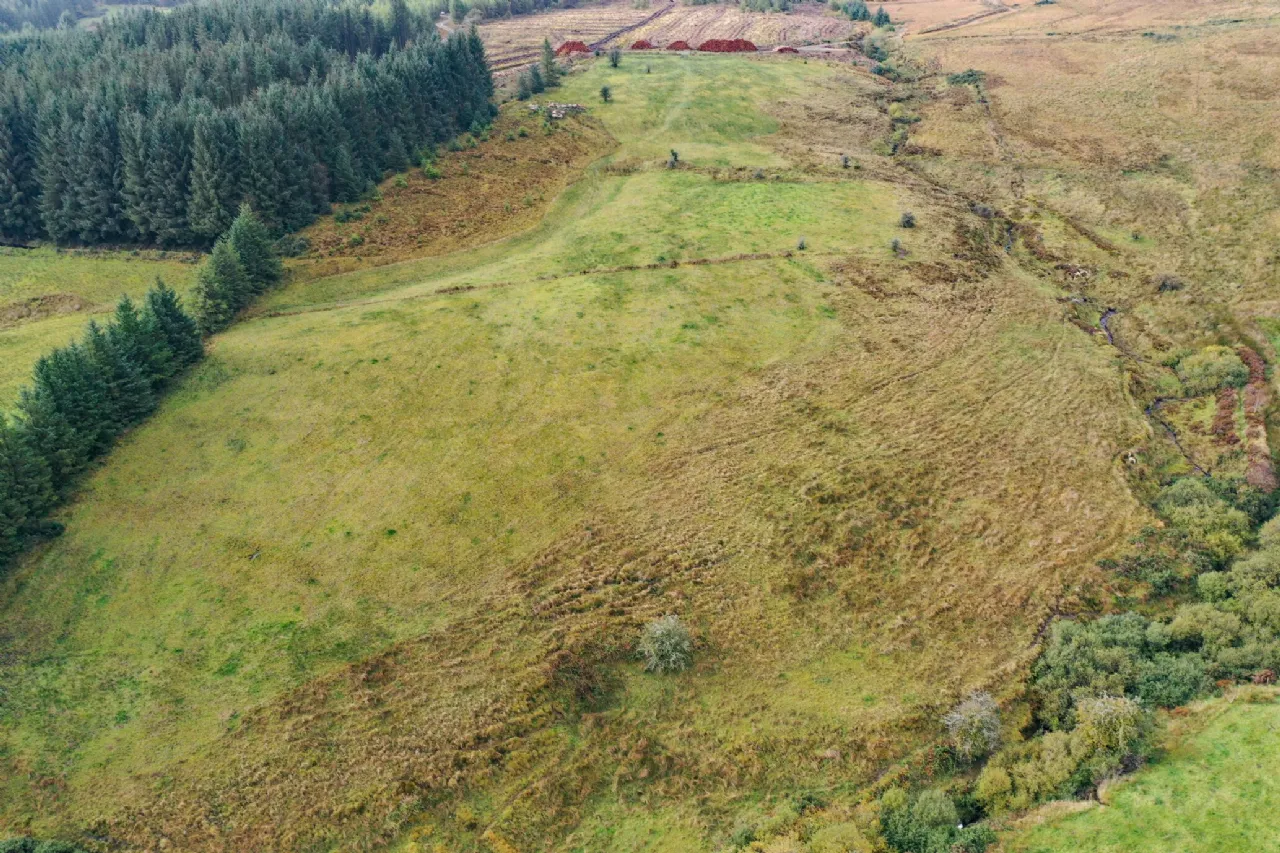 Photo of 13.44 Acres, Cummer, Kilcommon, Thurles, Co. Tipperary