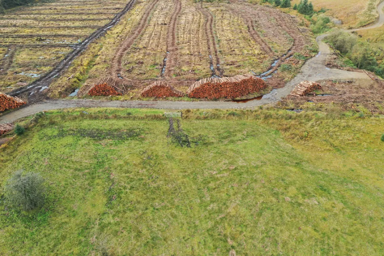 Photo of 13.44 Acres, Cummer, Kilcommon, Thurles, Co. Tipperary