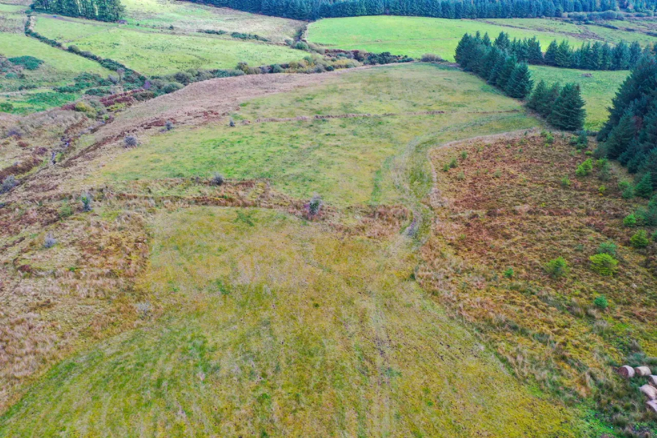 Photo of 13.44 Acres, Cummer, Kilcommon, Thurles, Co. Tipperary