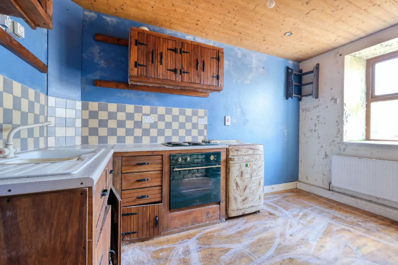 Photo of Abbeyderg, Kenagh, Co. Longford, N39VF60