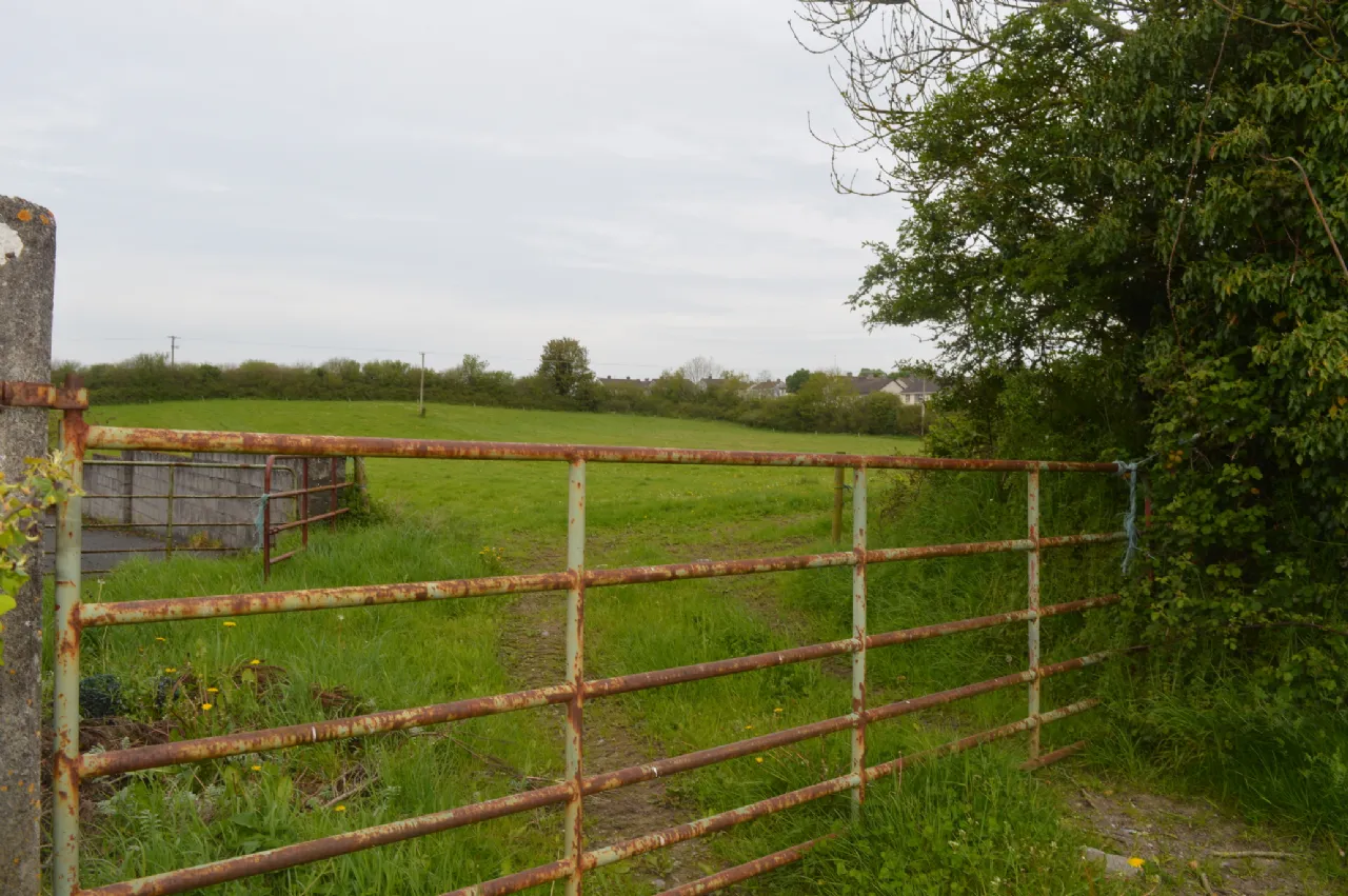 Photo of Land At Kilcoursey, Clara, Co Offaly