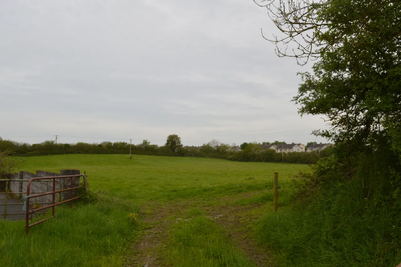 Photo of Land At Kilcoursey, Clara, Co Offaly