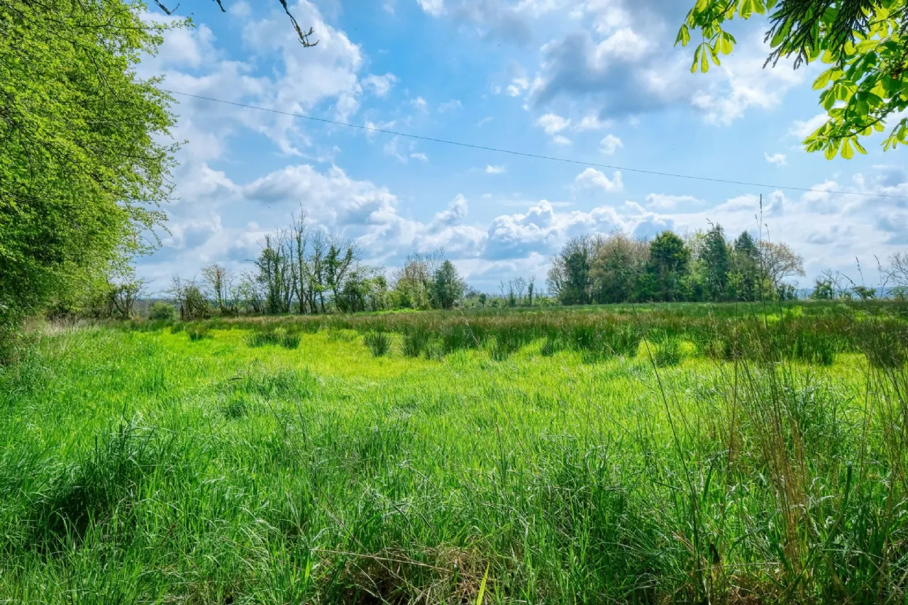 Photo of Lislea, Ballinalee, Co. Longford, N39 W0V6