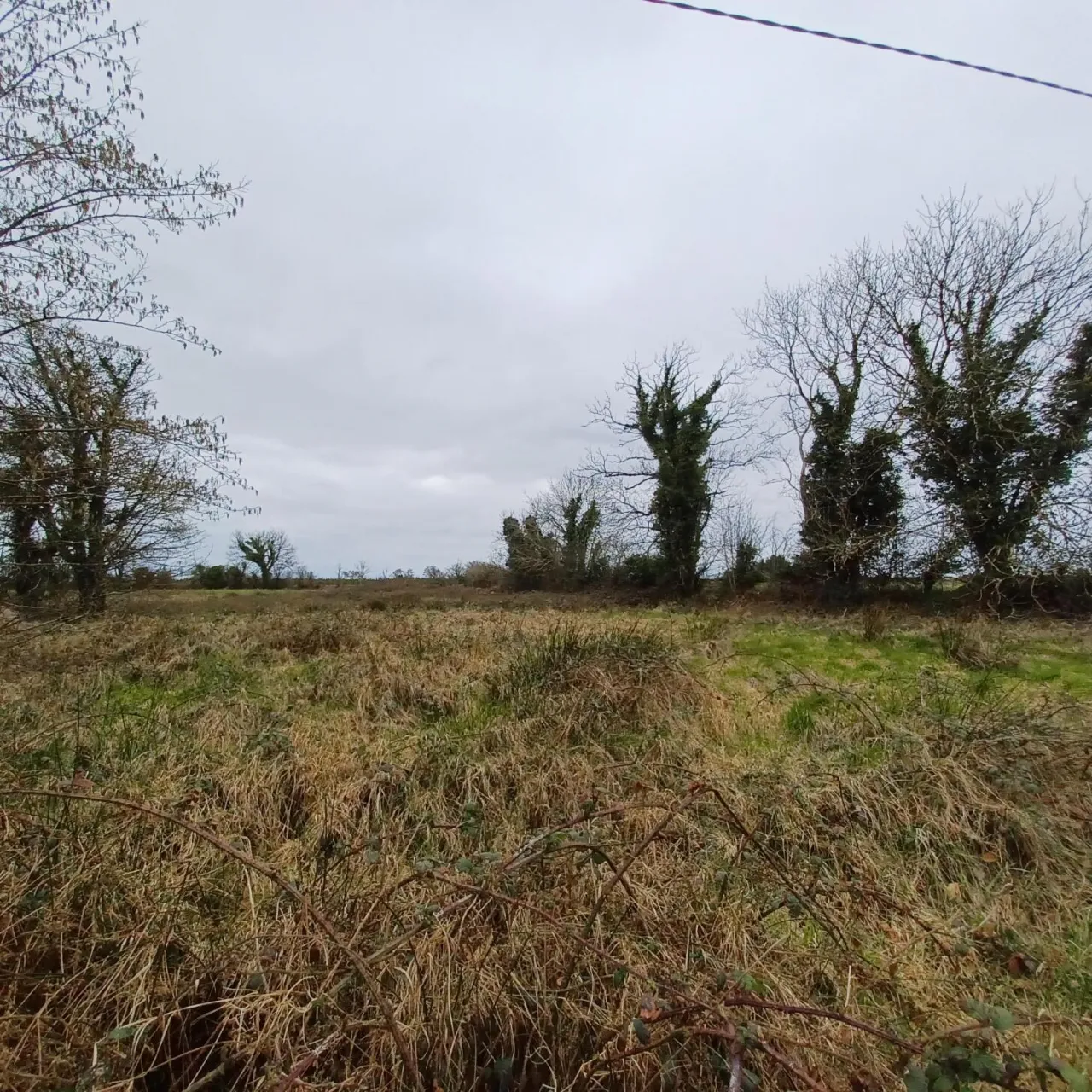 Photo of .32ha / .79ac Site, Kinreask, Gurteen, Ballinasloe, Galway