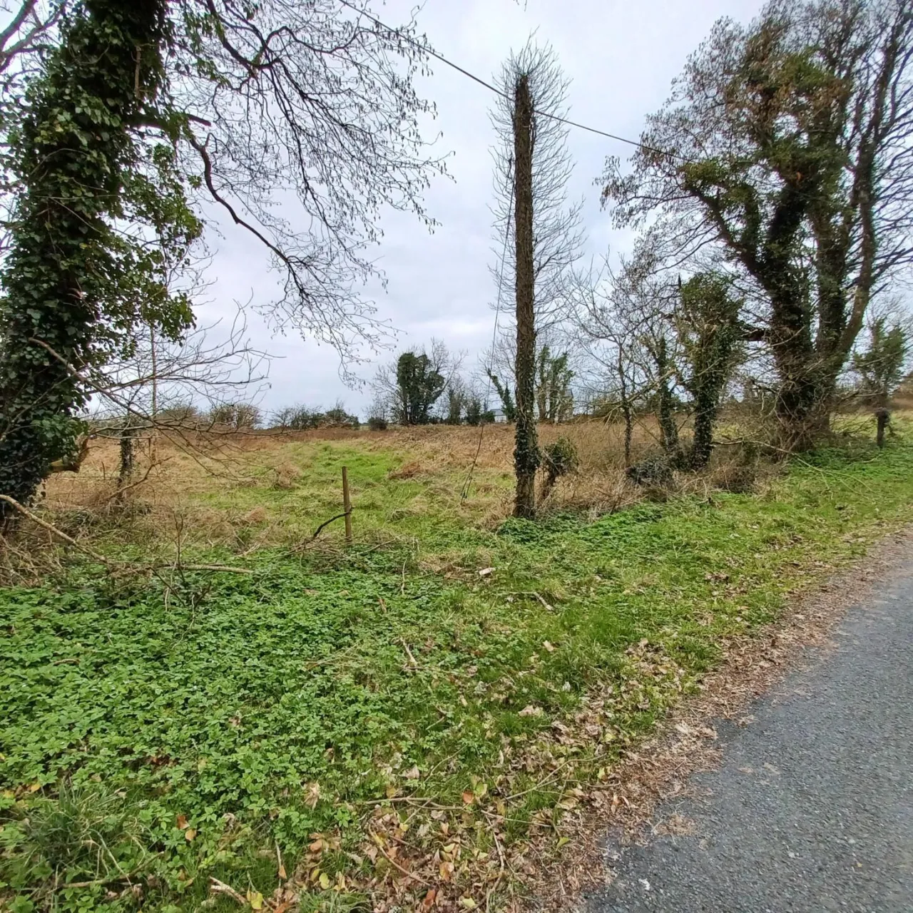 Photo of .32ha / .79ac Site, Kinreask, Gurteen, Ballinasloe, Galway