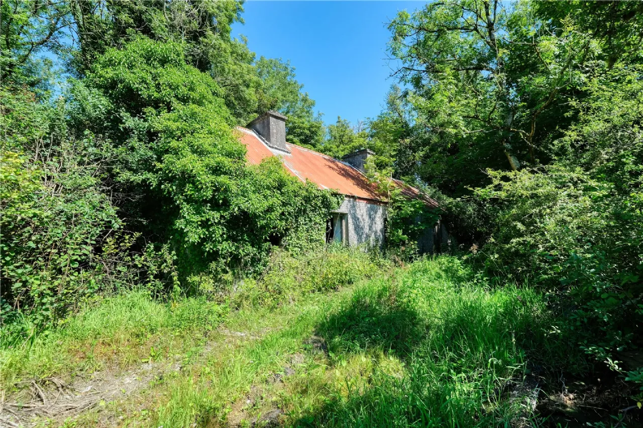 Photo of Drumagissaun, Ballintober North, Strokestown, Co. Roscommon