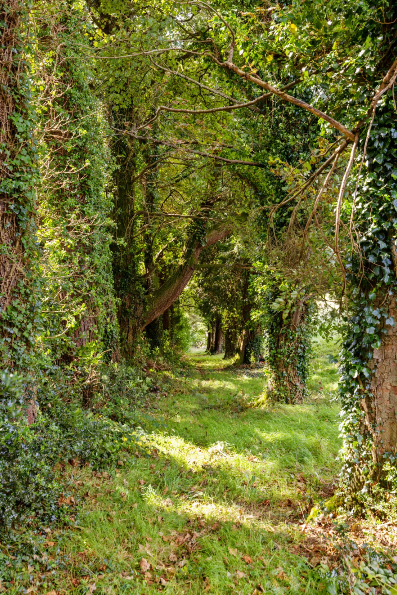 Photo of Vartry Lodge, Roundwood, County Wicklow, A98 F628