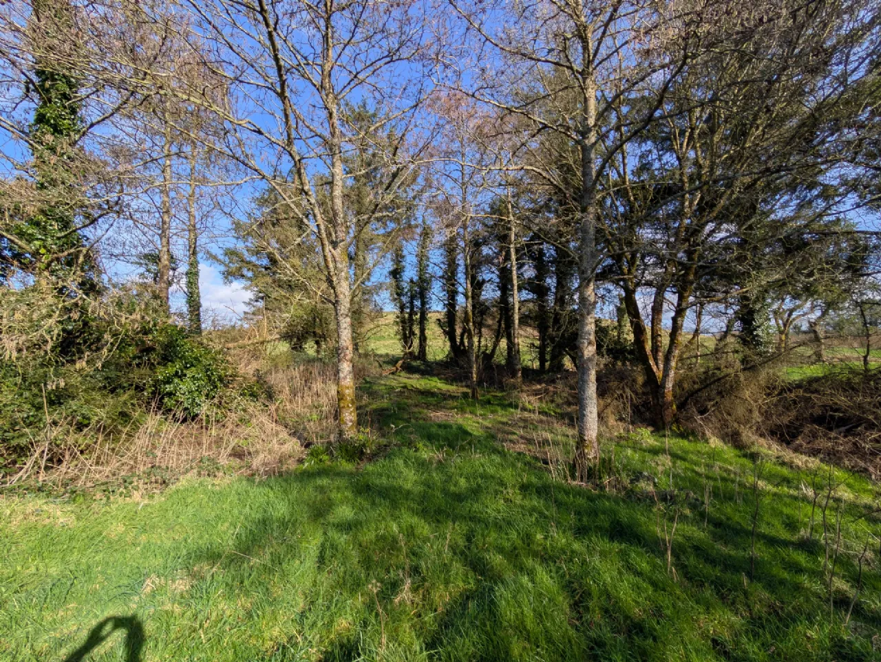 Photo of Steeple Village, Meelick, Swinford, Co. Mayo, F12 FC84