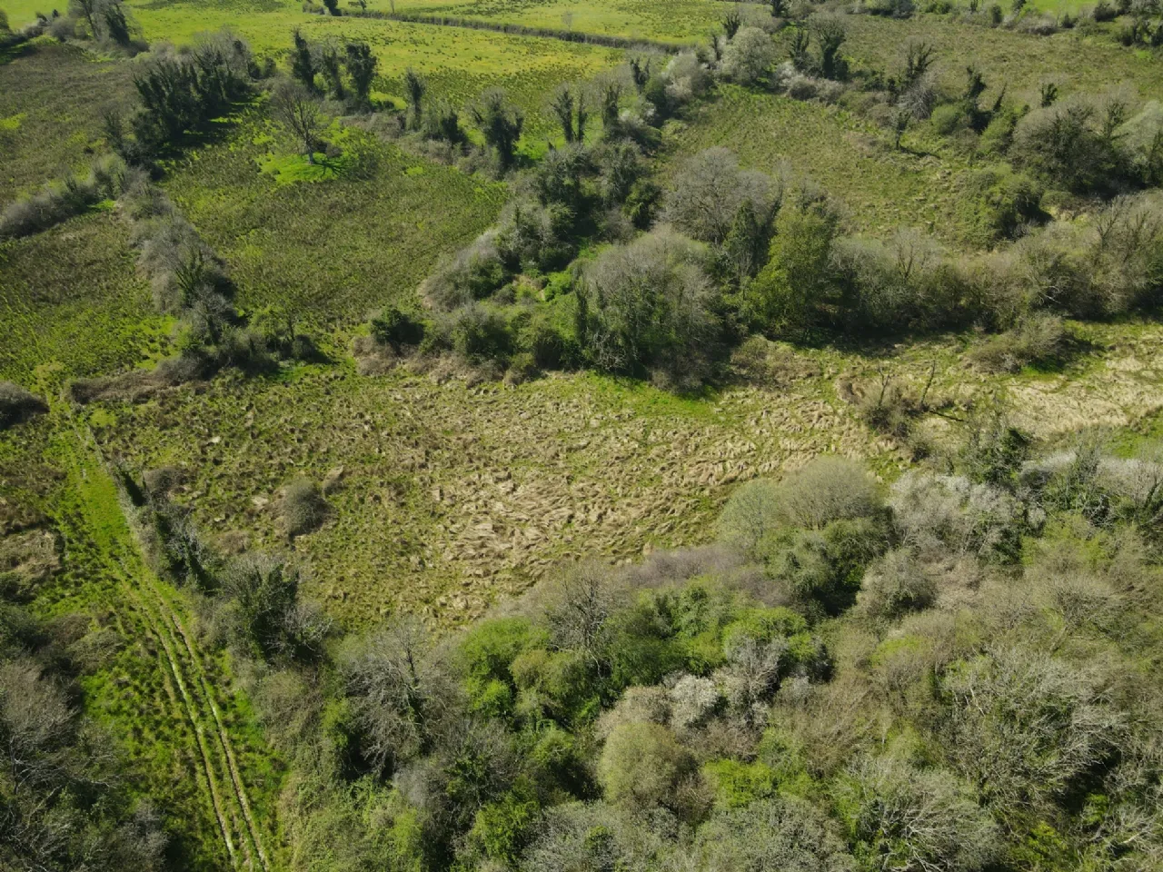 Photo of Lackagh & Drumcleavry, Kilmore, Carrick-On-Shannon, Co. Roscommon