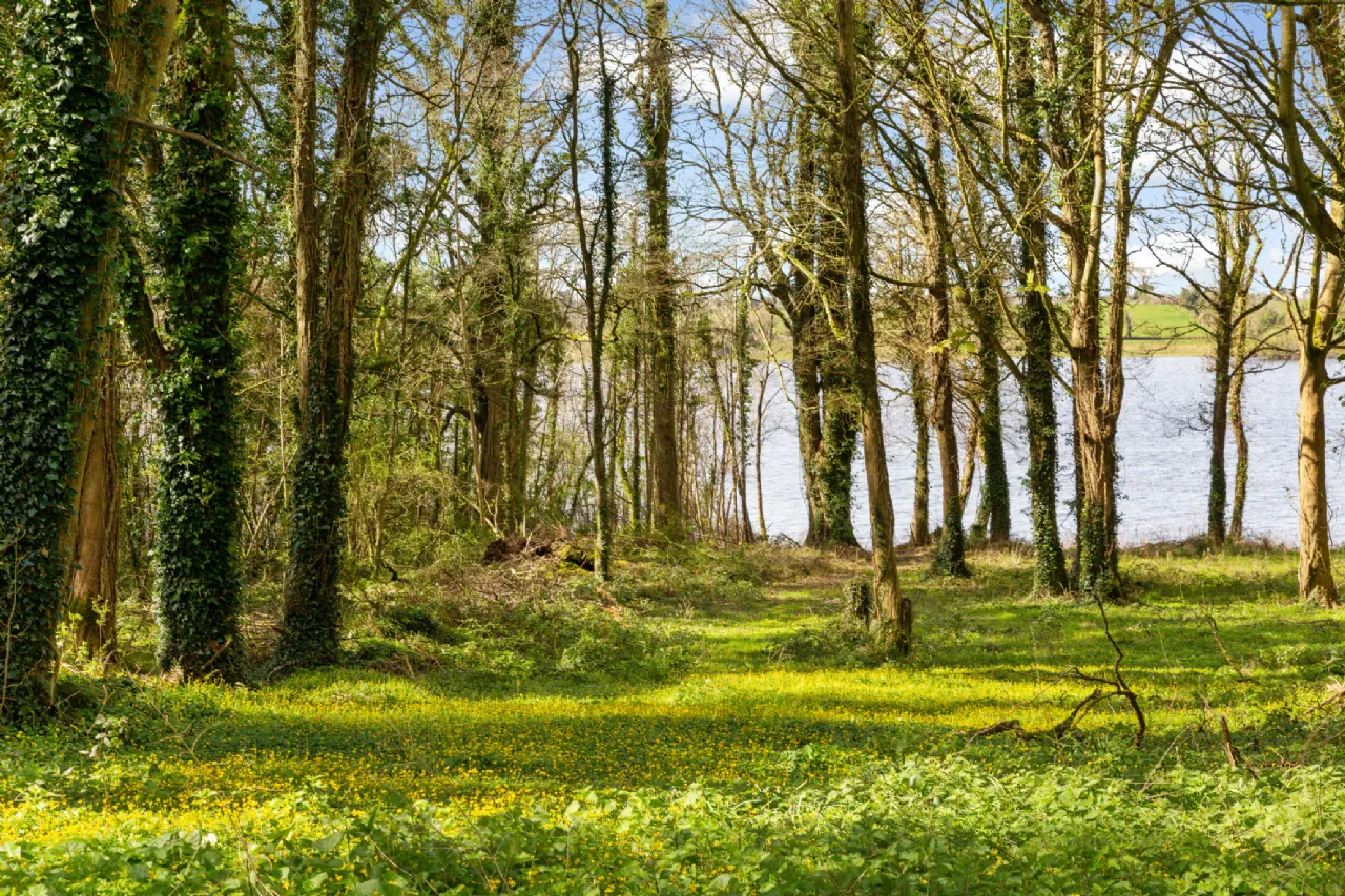 Photo of Clooncoe House, Clooncoe, Mohill, Co. Leitrim, N41 ED23