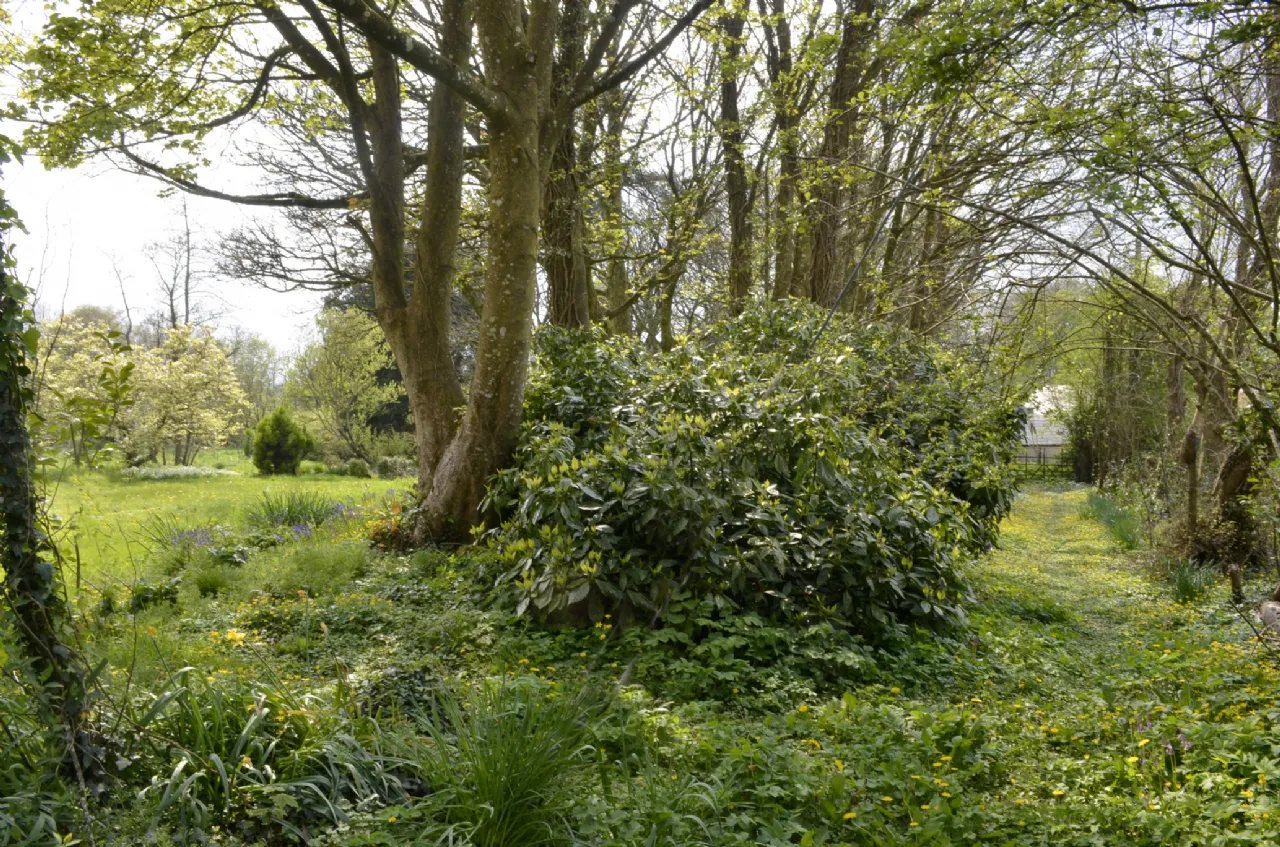 Photo of Carrigahilla House, Stradbally, Co Waterford, X42 A662
