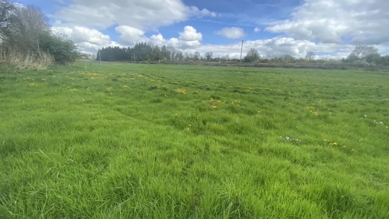 Photo of 5.3 Acres Approx Agri Land, Finea, Co. Cavan