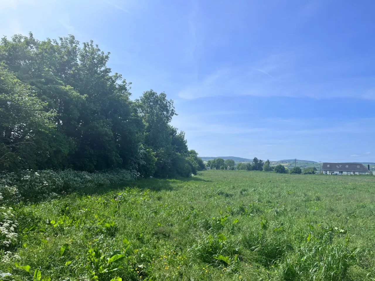 Photo of Capparoe, Nenagh, Co. Tipperary