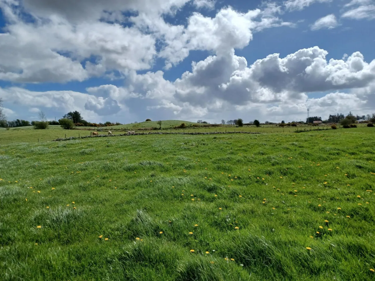 Photo of 0.69 Acre Site With F.P.P, Clooneen, Dunmore, Co. Galway
