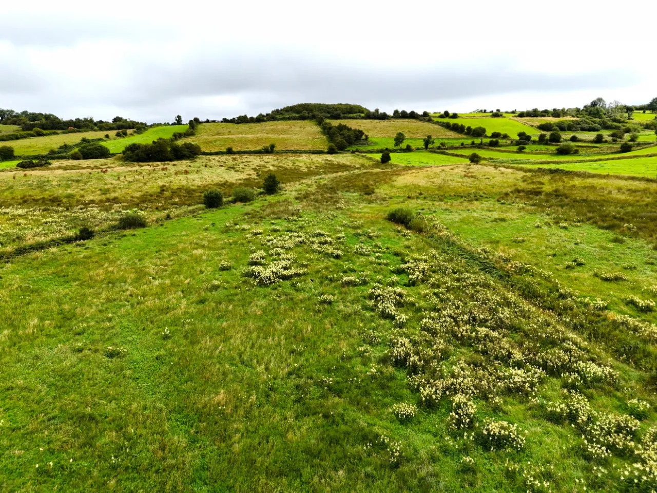 Photo of Tullinacurra, Swinford, Co Mayo, F12SX46