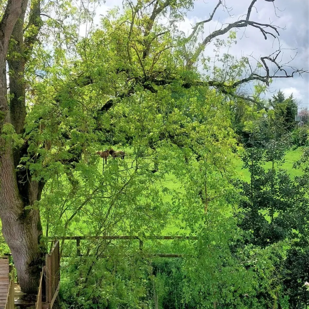Photo of Glebe Hall, Lambertstown, Kilmessan, Co. Meath, C15X0Y8