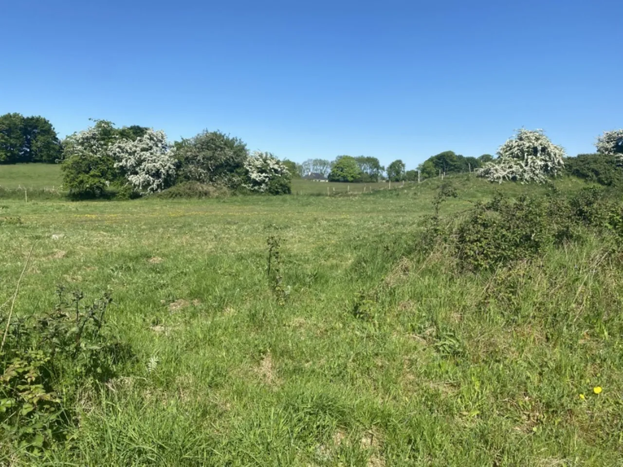 Photo of 1.5 Acre Approx Residential Site SPP, Dromone, Co. Meath