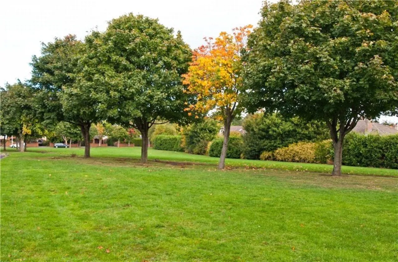 Photo of 7 Belmont Lawn, Stillorgan Road, Blackrock, Co. Dublin, A94 E339