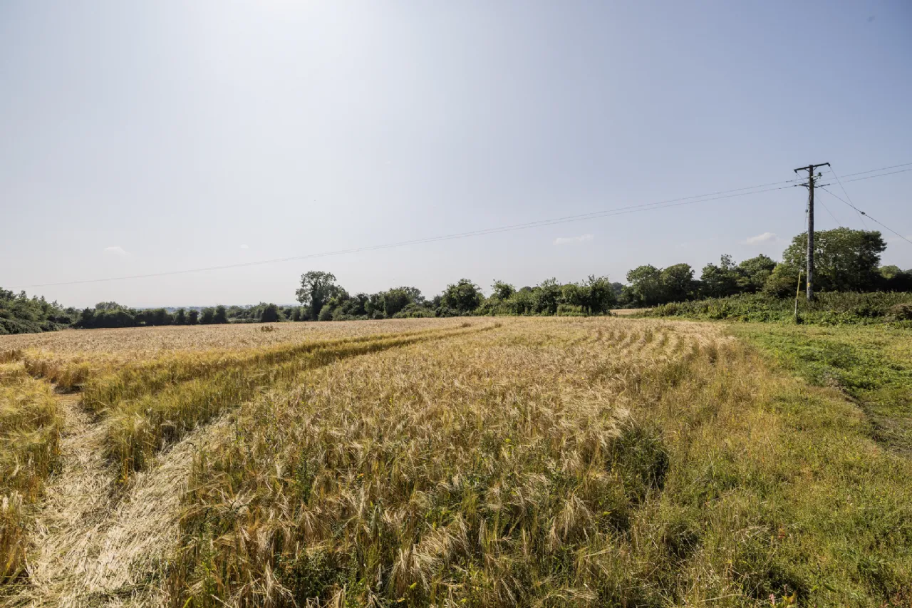 Photo of Garristown, C. 9.53 Acres / 3.86 Ha. Tobergregan, C. 6.35 Acres / 2.57 Ha. The Windmill,, Garristown,, Co. Dublin