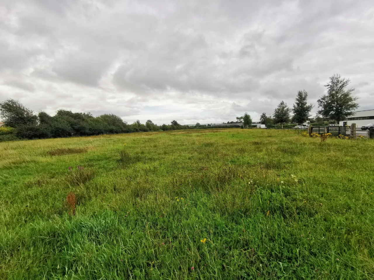 Photo of 4.55 Acres Prime Development Land, Tonbwee, Castleisland, Co. Kerry